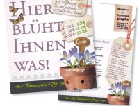 Design Werbeaktion für Modehaus