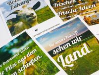 Postkarten & Roll-Up / Aktion für LEADER Förderprojekt Rhein-Eifel